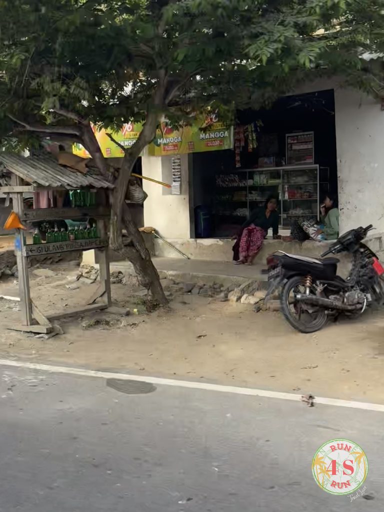 Alquiler motos Lombok
