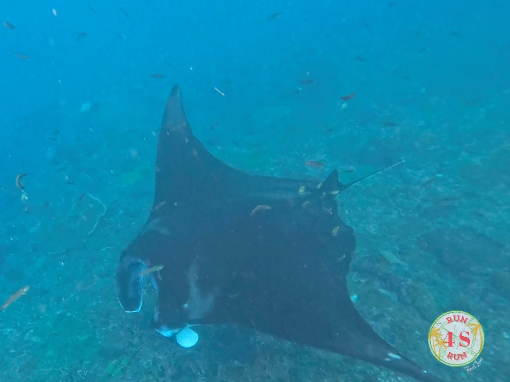 Snorkel Nusa Penida