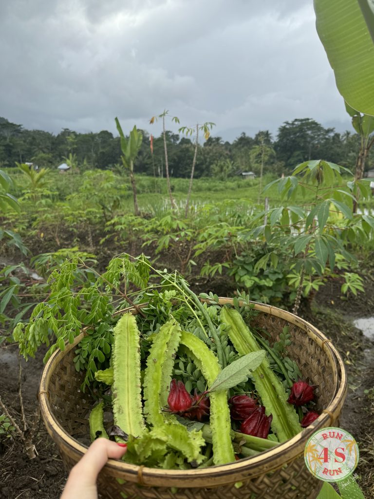 Actividades en Ubud