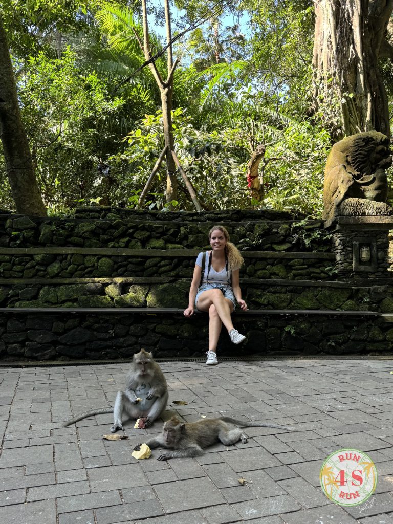 Monkey Forest