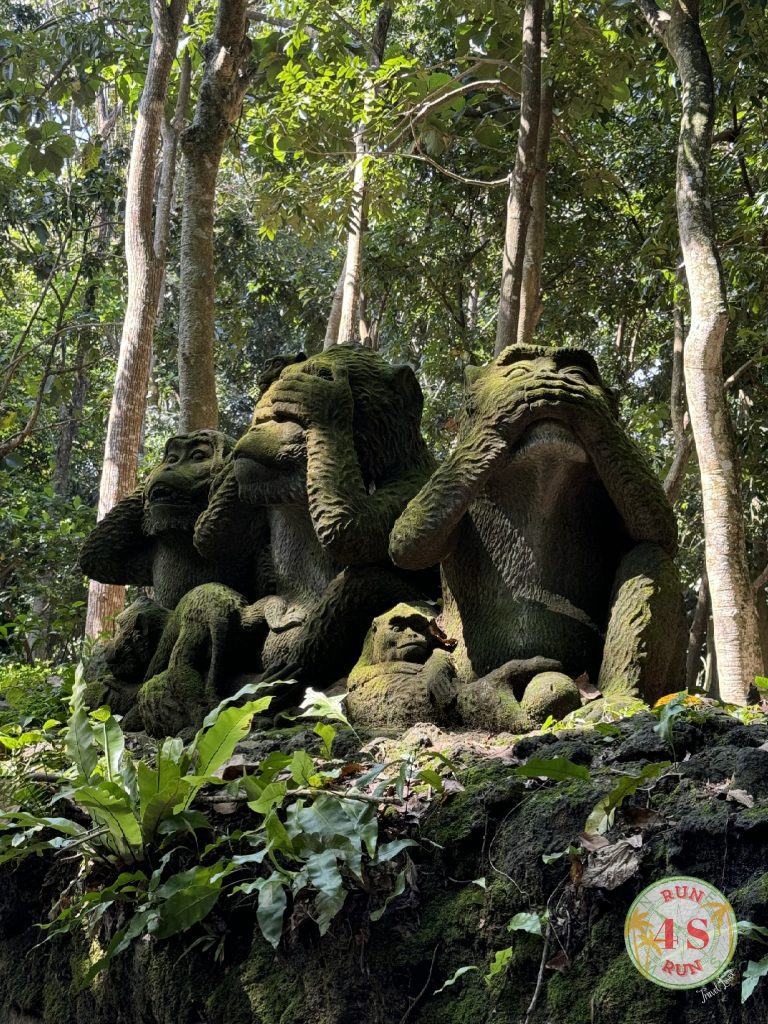 Monkey Forest