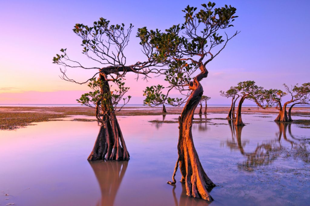 Sumba 2