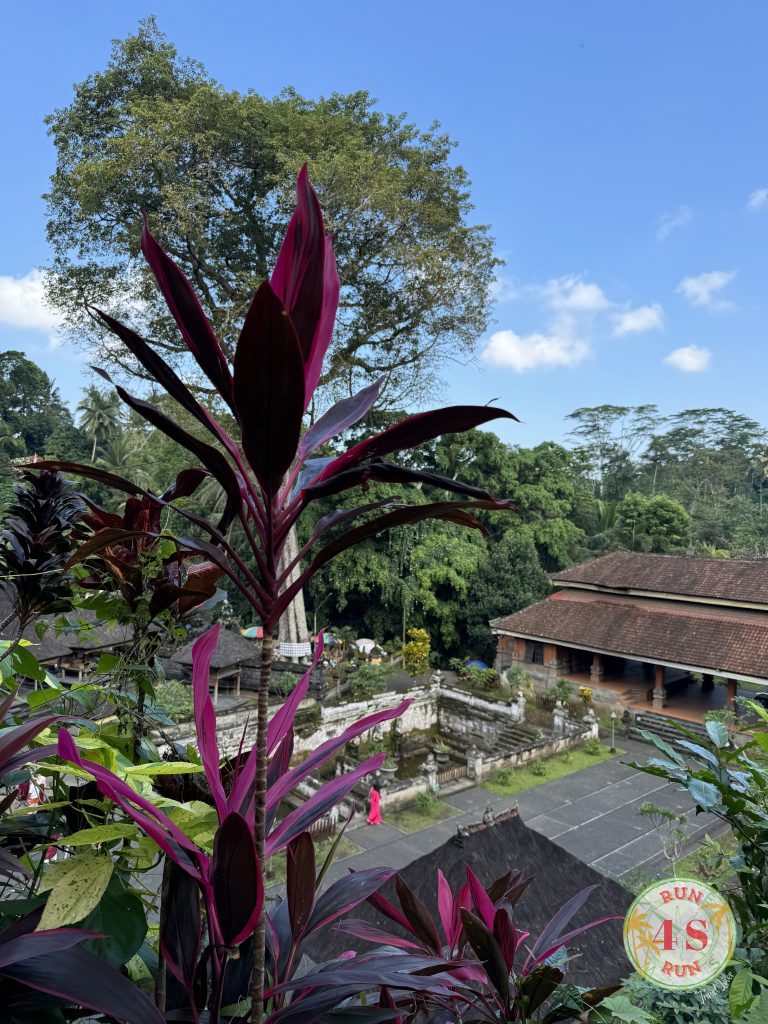 Centro Bali