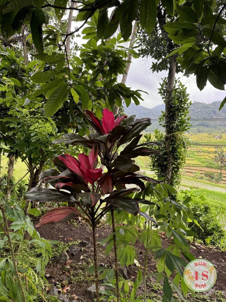 empresa 4