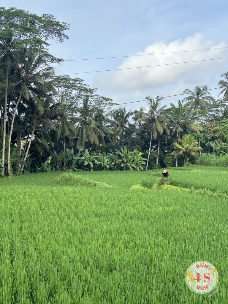 Itinerario Bali