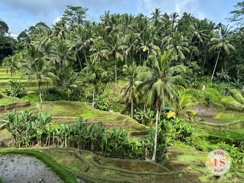 Itinerario Bali